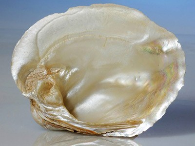 مادر مروارید